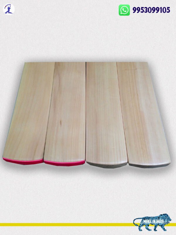 English Willow Cricket BAT - Image 2